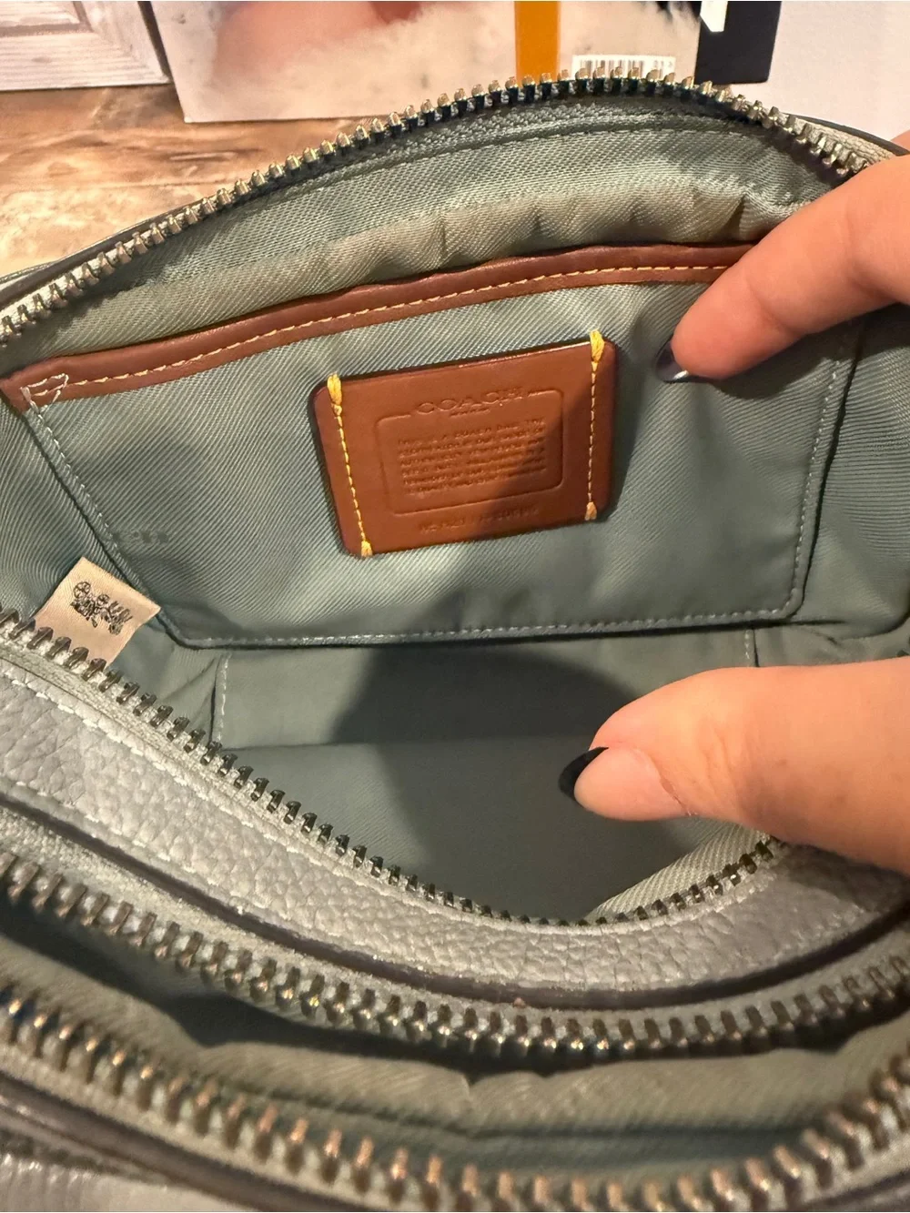 Coach Pebbled Leather Camera Crossbody Bag Sage Green Gunmetal Hardware